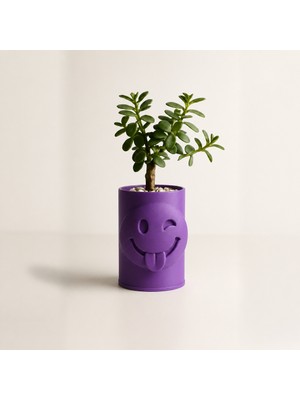 Popüler Sepet 3D Baskı Emoji Planter - Göz Kırpan Yüzlü Sukulent Saksısı-Mor