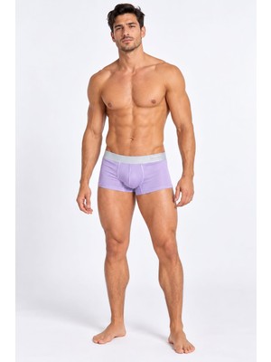 Boxer Mılk