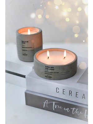 Happy Trend Beton Saksı Içinde Lavanta Kokulu Soya Wax Mum Seti Dekoratif Hediyelik (Gri)