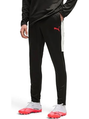 Puma Individual Liga Erkek Eşofman Altı