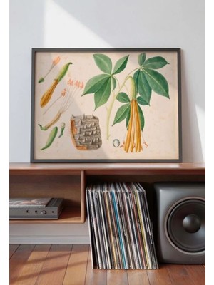 Pegziz Tropikal Bitki Suluboya Vintage Çerçeveli Sanat Poster Duvar Dekoru