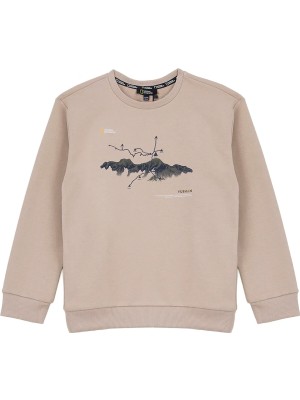 National Geographic Bej Erkek Çocuk Sweatshirt N6WB-SWT4877