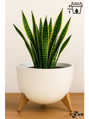 Neva Home 5 Litre 25CM Küre Saksı Ayaklı Delikli Süzgeçli Plastik Çiçek Saksısı Fildişi