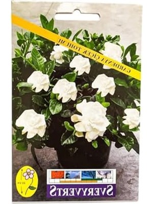 Mythriva Gardenya Çiçeği Tohumu, Bahçenizi Renklendirmek Için