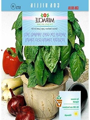 Mythriva 250 Adet Yapraklı Tatlı Fesleğen Tohumu, Saksı Için Uygun