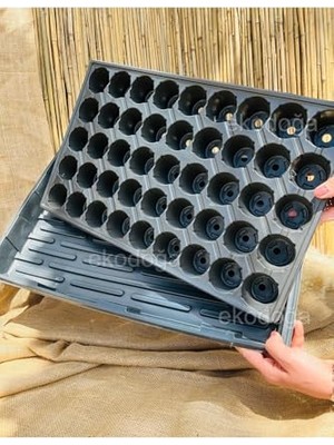 Mythriva 2 Adet 45 Göz Fide Viyolü + Derinlik 5 cm Tepsisi Viyol Altlığı SIYAH,11456456
