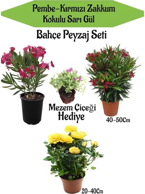 Mythriva Nura Botanik Peyzaj Seti, Pembe Zakkum, Kırmızı Zakkum, Sarı Gül, Mezem Çiçeği Hediyeli