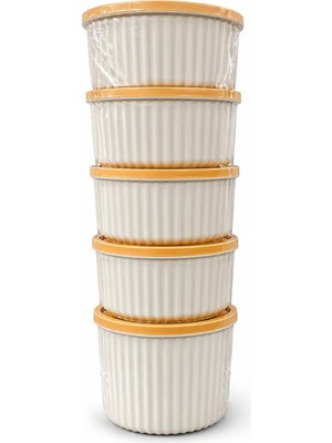 Mythriva Kapaklı Plastik Saklama Kabı 5'li Set 450 ml | Erzak Saklama Kabı,gıda Saklama Kabı, Mutfak Düzenleyici, Bakliyat, Kuruyemiş, Baharat, Atıştırmalık ve Kuru Gıda Saklama Kutusu