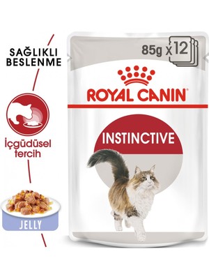 Mythriva Royal Canin Instinctive Jelly Yetişkin Kedi Konserve 85 gr