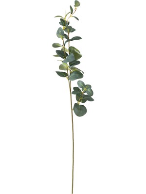 Mythriva Aura Dal Çiçek 70 cm