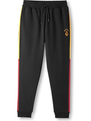 Mythriva Galatasaray Erkek Eşofman Alt E252125
