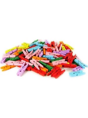 Evimdeyokyok 100'LÜ Renkli Ahşap Mandal 2.5cm (12'li PAKET-1200 Adet)