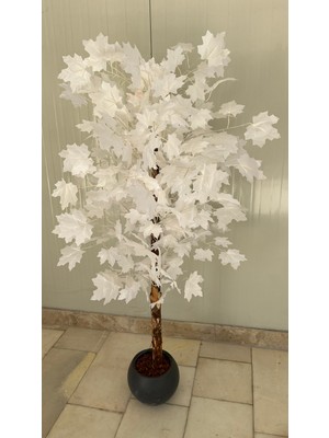 Erhan Flowers Beyaz Çınar Ağacı 160CM Antrasit Küre Saksı