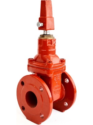 Volon 6" Nrs Sürgülü Vana F&F PN16 UL Model D101