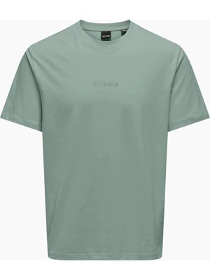 Only & Sons Only&sons Erkek Tişört 22028147