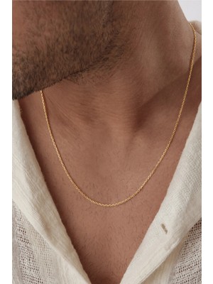 Ricco Jewellery 14 K Altın Kaplama 925 Ayar Gümüş Unisex Forse Zincir