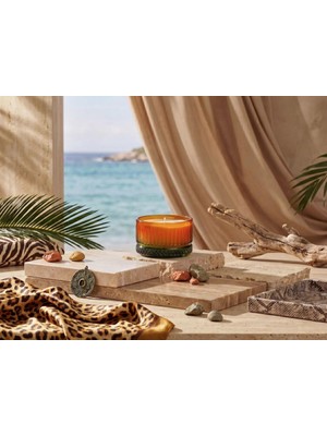 Doqu Home Jungle Muse Glade Kokulu Mum 150 gr