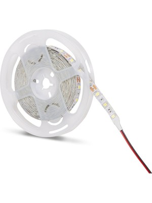 Noas 12 Volt Iç Mekan Şerit LED Günışığı YL40-4002 10 Metre