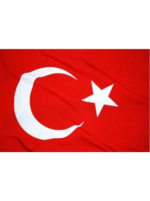 Lona Sanat Tekne Bayrağı 30 * 45 5'li