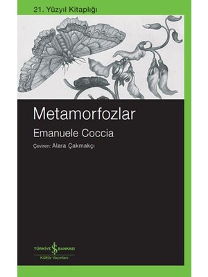 Lisinya Metamorfozlar