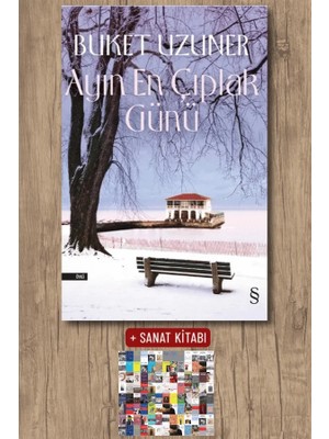Everest Yayınları Ayın En Çıplak Günü + Sanat Kitabı