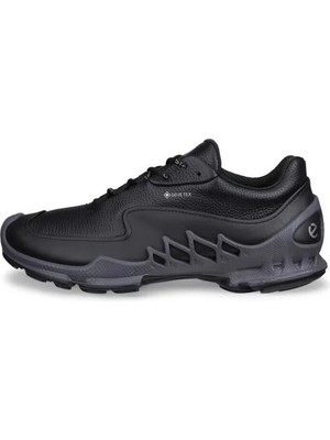 Ecco Biom Aex