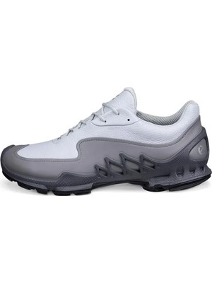 Ecco Biom Aex