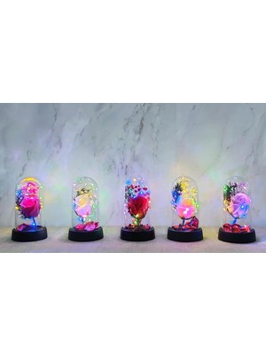 Pileli Store Işıklı Müzikli Romantik Büyük Gül