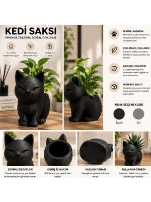 Durino 3D Baskı Sevimli Kedi Saksı – Dekoratif Saksı