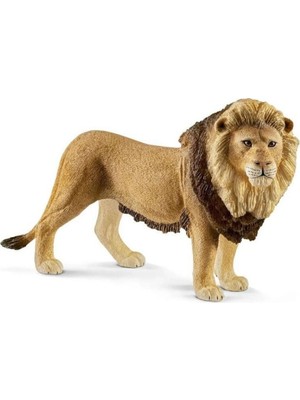 NW NessiWorld Erkek Aslan