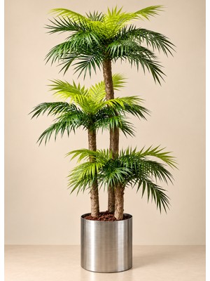 Erhan Flowers 160 cm Palmiye Arekası 30 Yaprak Metal Saksıda