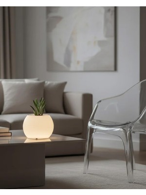 Lofony Moon Kablosuz Işıklı Saksı L