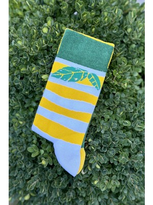 Lou Socks Unisex Sağlı Sollu Limon Desenli Yeşil Sarı Soket Çorap