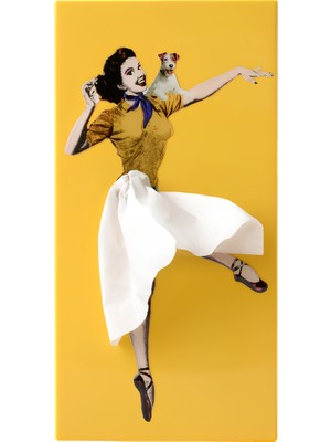 Spextrum Tissue Up Girl Daisy Peçetelik Sarı