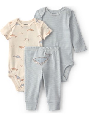 Layette Erkek Bebek 3'lü Set CTR-1V252610