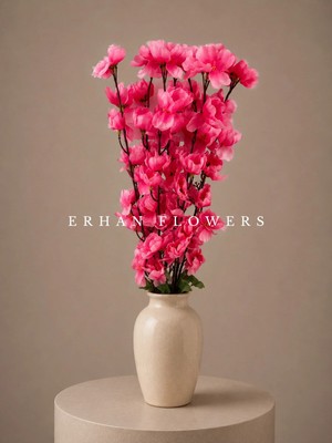 Erhan Flowers Pembe Bahar Dalı 7 Li (Saksısız)
