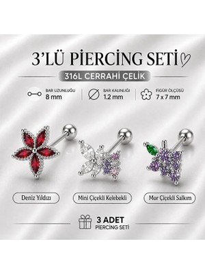 Heppii 3'lü Piercing Seti 316L Çelik Helix Tragus Kıkırdak Deniz Yıldızı Çiçekli Kelebekli Mor Çiçekli Salkım Model 3 Adet Piercing