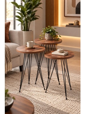 Sulorahome Zigon Sehpa Takımı Çam Desenli Kahverengi
