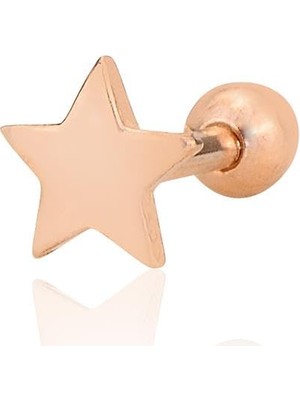 Trendexa Gümüş Rose Yıldız Modeli Tragus Helix Piercing Küpe [barcode]