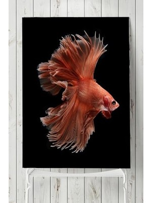 Trendexa (PSTER8032) Sanatsal Balık Hayvan Posteri 40X60 cm