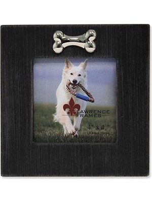 Trendexa Köpek Kemikli Çerçeve, 10X10 Cm, Siyah