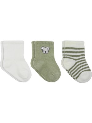 Bistyle Koala Boy 3'lü Penye Soket Çorap 10133 Ekru