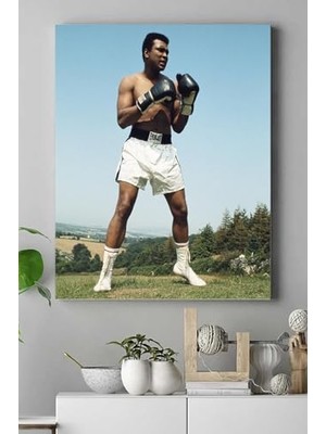 Trendexa PSTER17462 Muhammed Ali Dövüş Kanvas Tablo 2 30 x 40