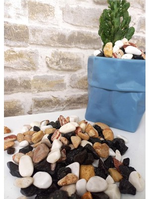 Tr Asenya Renkli Çakıl Taşı 6 kg 1-2 cm Saksı Dibi Teraryum Saksı Süs Vazo Dibi Dekoratif Dol