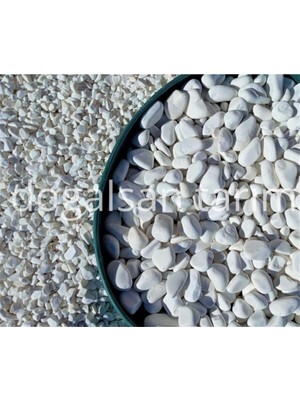 Tr Beyaz Dolomit Taş 2 kg 2-4 cm Dere Taşı Çakıl Taşı Saksı Taşı Akvaryum Teraryum Taşı