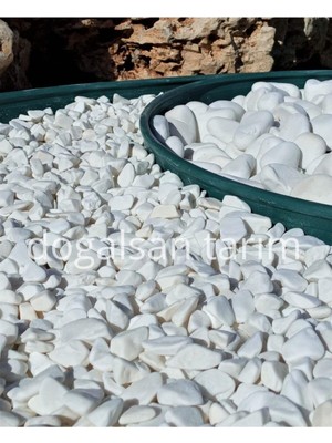 Tr Beyaz Dolomit Taş 1 kg 1-2 cm Dere Taşı Çakıl Taşı Saksı Taşı Akvaryum, Teraryum Taşı