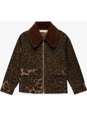 Koton Pamuklu Uzun Kollu Oversize Kadife Polo Yaka Leopar Desenli Jean Ceket