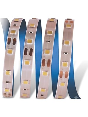 Trendexa Yüksek Işık Güçlü Iç Mekan Ekstra Parlak Beyaz Işık Şerit Led, Cata CT-4480 10 Çipli Şerit LED Aydınlatma Metrede 60 Led, 10 Metre Beyaz