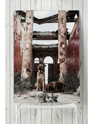 Trendexa (PSTER5728) Köpek Hayvan Poster 2 (60X90 Cm)