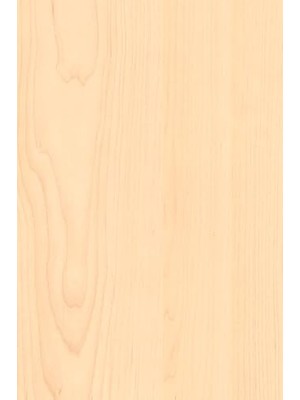 Trendexa Desenli Kendiliğinden Yapışkanlı Kaplama Folyosu 45 cm x 5 mt EFL042